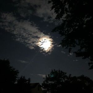 Meet your Posher, Dwayme